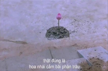 Thiên đường phang nhau với ông hàng xóm thân thiết ngoài sân